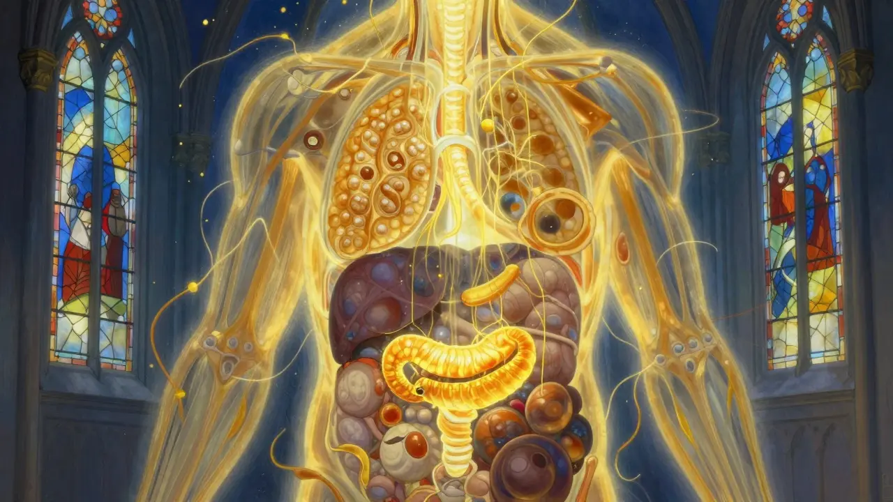 Un corpo umano stilizzato come cattedrale luminosa con processi metabolici rappresentati come raggi di luce.